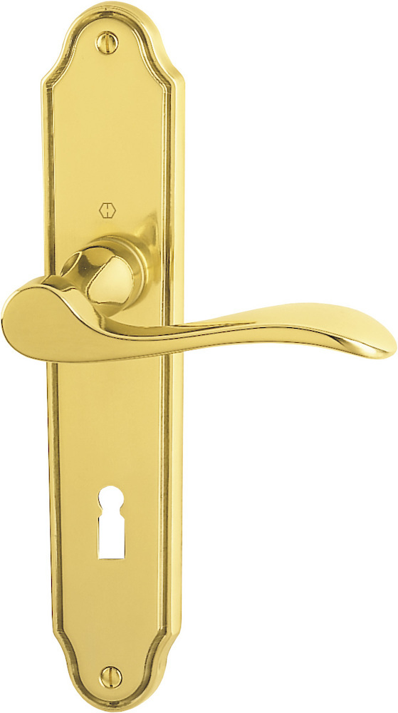 HOPPE® Drückergarnitur mit Langschild Wien M123/221I, Messing, 3038830