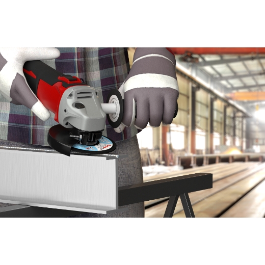 FISCHER Fächerschleifscheibe AP 125 K60 Inox