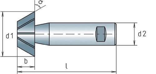 ALPEN Winkelfräser DIN 1833D TypN D.32mm 60Grad HSS-Co Z.12 MAYKESTAG