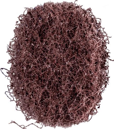 PFERD TOOLS Schleifvliesscheibe POLINOX D.40mm medium 100 braun PFERD