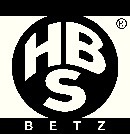 HEINRICH BETZ & SÖHNE Schiebetorrolle 120mm STA verz. 100kg 11/13mm Heinrich Betz & Söhne