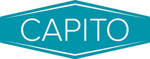 CAPITO Profi Schubkarre Praktica 85 85l Luftrad Stahlfelge m.Kugell.CAPITO