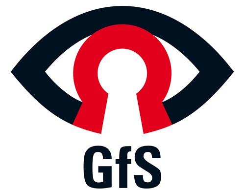 GFS Montageplatte (lang) für GfS EH-Türwächter® an Glasrahmentüren, RAL 6029