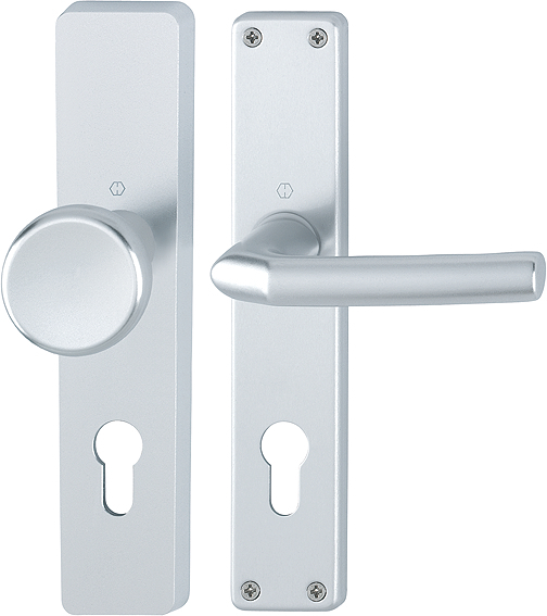 HOPPE® Wechselgarnitur mit Langschild Birmingham 54/227/202SP/1117, Aluminium, 2534006 HOPPE® Wechselgarnitur mit Langschild Birmingham 54/227/202SP/1117, Aluminium, 2534006