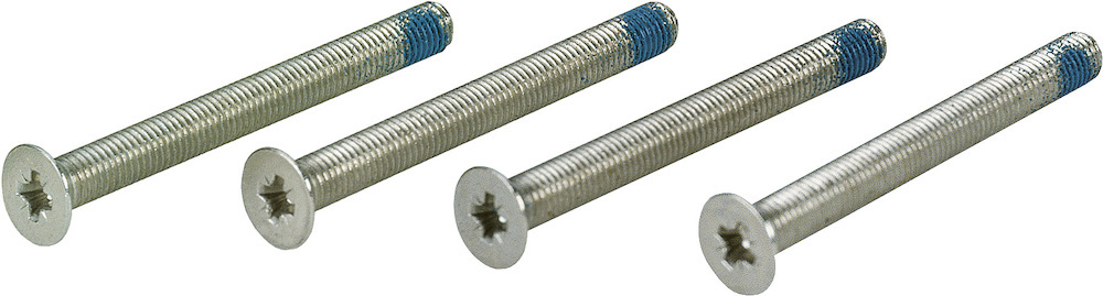 HOPPE® Gewindeschrauben-Set M4 für FS-Innentür-Rosetten-Garnituren, Eisen 75 mm Kreuzschlitz