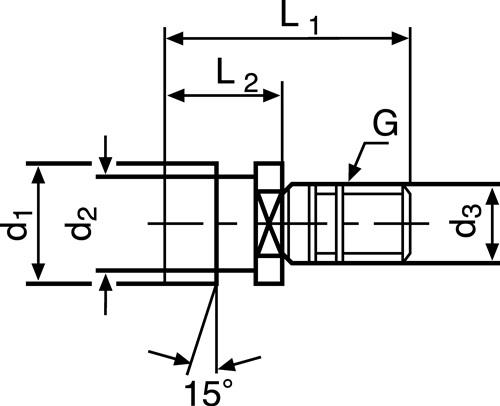 PROMAT Anzugsbolzen DIN2080 Ott-Ringnut SK40 m.IG PROMAT