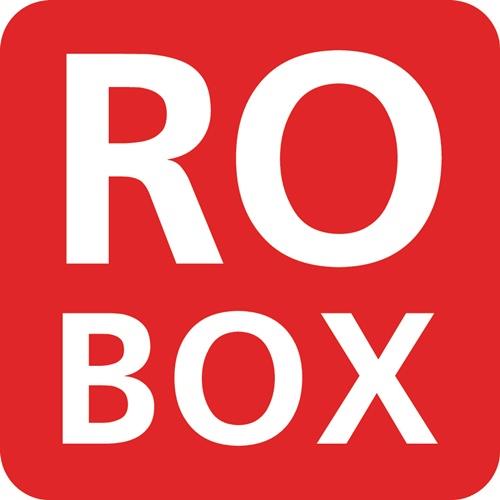 ROTHENBERGER Akku-Inspektionskamera ROSCOPE®mini 2 Zoll 320x240 8,5mm