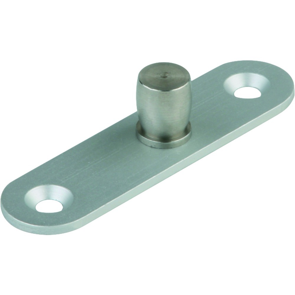 DORMA GLAS Zapfenband Oberteil PT 24 01.123, Aluminium DORMA GLAS Zapfenband Oberteil PT 24 01.123, Aluminium