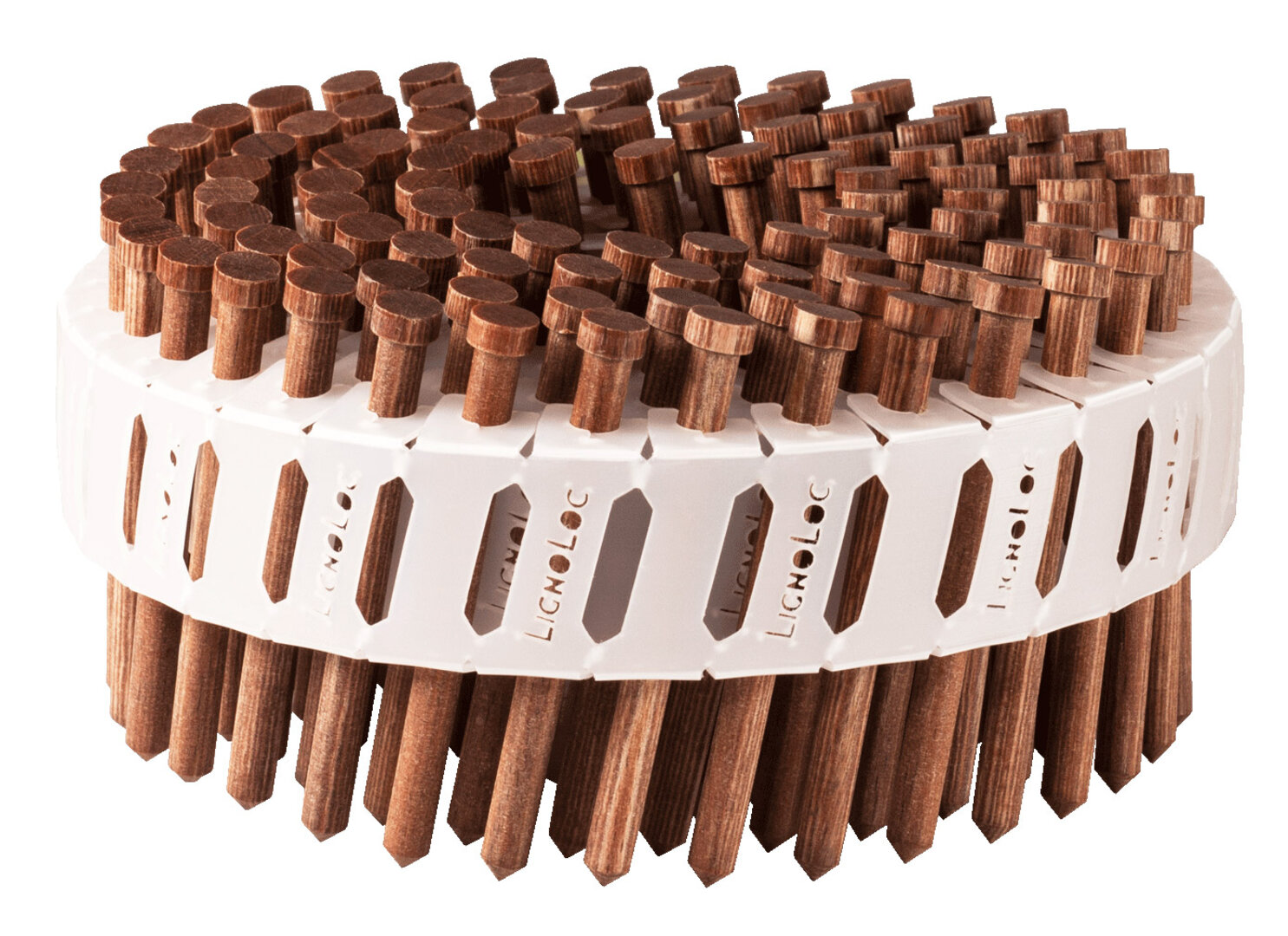 Beck LignoLoc® Holznagel F60 mit Kopf, 4,7x58mm, glatt, ungeharzt