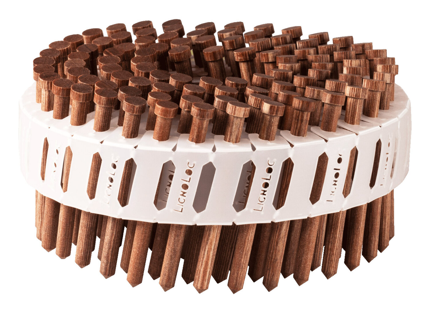 BECK LignoLoc® Holznagel F60 mit Kopf, 4,7x58mm, glatt, ungeharzt