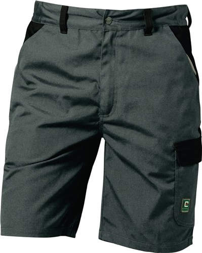 Canvas Shorts Sao Paulo ELYSEE