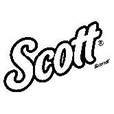 Rollenhandtuch SCOTT® Essential 6691 SCOTT