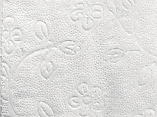 Toilettenpapier Racon Premium 3-lagig 64 RL à 250 Bl.RACON