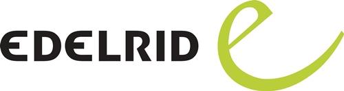 EDELRID Verbindungsmittel Shockstop-Y 140 Tie-Back Giant L.200cm EN 355,ANSI Z359.13