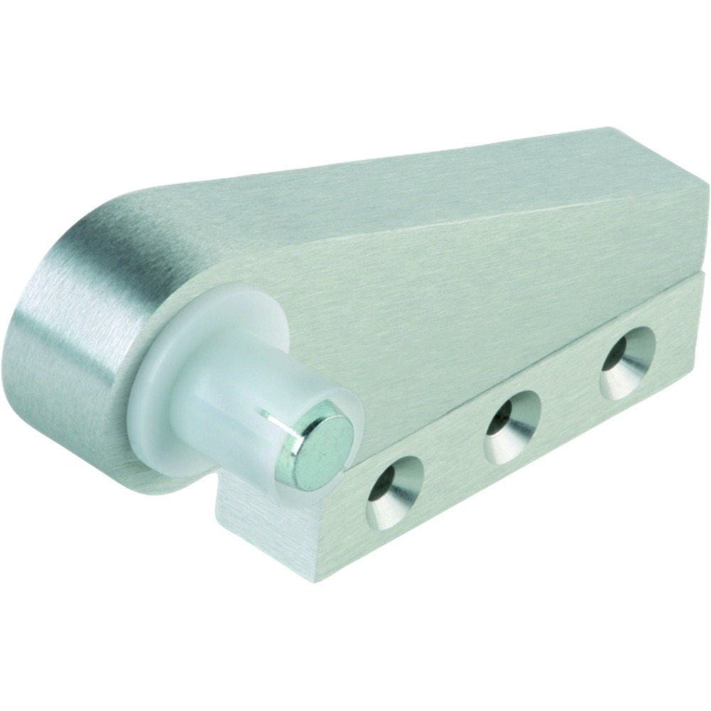 DORMA GLAS Zapfenband Oberteil, mit Befestigungsklotz, Aluminium