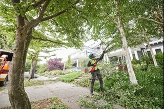 MILWAUKEE M18 FUEL™ Akku-Teleskop-Astsäge 30 cm M18FTPS30-121