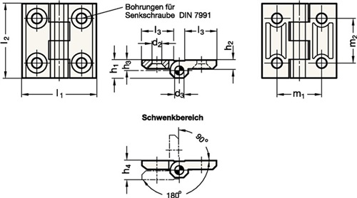 Scharnier GN 237 GANTER