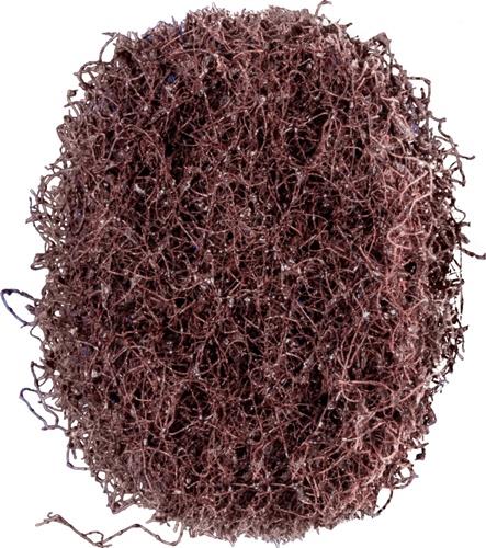 PFERD TOOLS Schleifvliesscheibe POLINOX D.40mm medium 100 braun PFERD