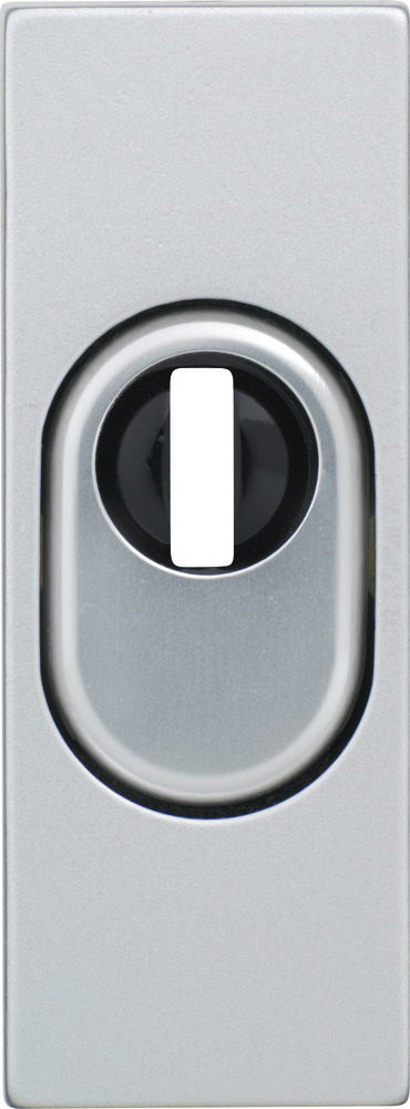 ABUS Schutz-Schlüsselrosette RSZS316 EK, Edelstahl, 30516