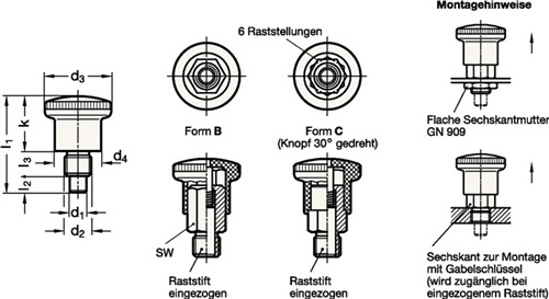 GANTER Miniraster GN 822.6 o. Rastsperre Ganter GANTER Miniraster GN 822.6 o. Rastsperre Ganter