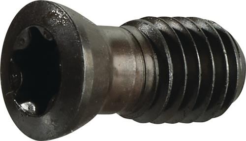 TECWERK Spannschraube US 4511 Gr.T20 f.SEKT/SEET 1204 z.Planfräser TECWERK