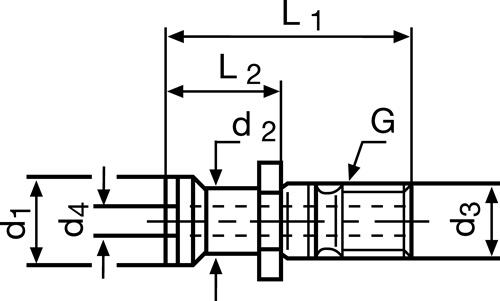 TECWERK Anzugsbolzen ISO 7388/IIB SK40 m.Bohr.TECWERK