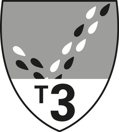DUPONT Schutzoverall Tychem® 6000 F Gr.XL grau PSA III DUPONT DUPONT Schutzoverall Tychem® 6000 F Gr.XL grau PSA III DUPONT