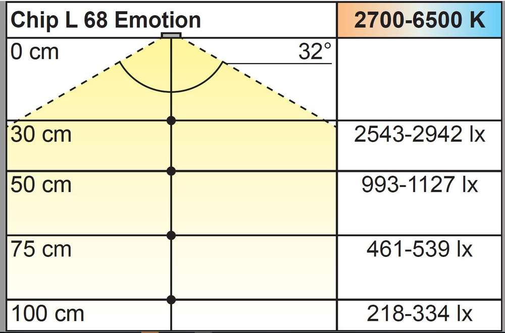 L&S LED Chip L 58, Emotion 2,5W, 12VDC, schwarz matt, 1800mm Leitung