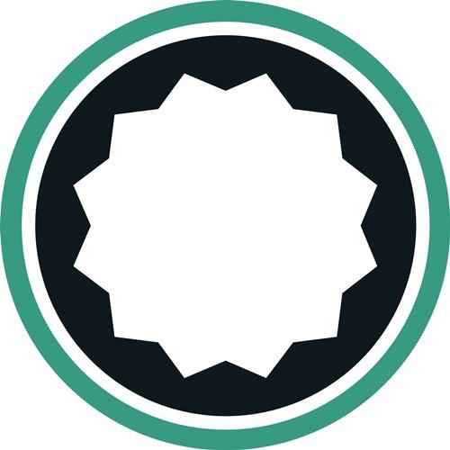 STAHLWILLE Ring-Einsteckwerkzeug 732/100 SW 50mm 22x28mm CV-Stahl STAHLWILLE