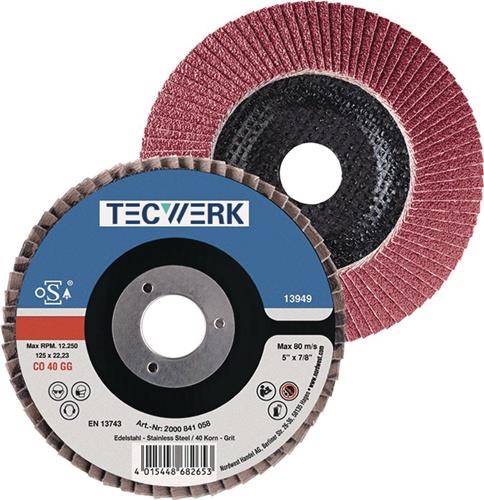 TECWERK Fächerscheibe D.125mm K.80 kon.INOX CO TECWERK