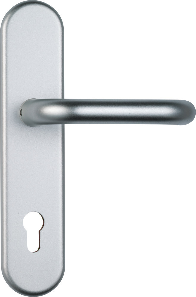 ABUS Schutz-Wechselgarnitur mit Langschild HLZS814, oval, Aluminium, 37404