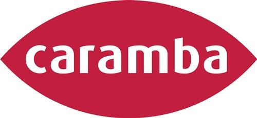 CARAMBA Hochleistungskontaktspray 500 ml Spraydose CARAMBA