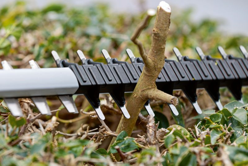 BOSCH Akku-Heckenschere GHE 18V-60