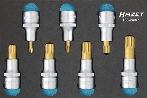 HAZET Werkzeugmodul 163-243/7 7-tlg.HAZET