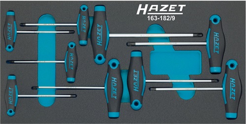 Werkzeugmodul 163-182/9 9-tlg.Anz.Werkzeuge:9 HAZET