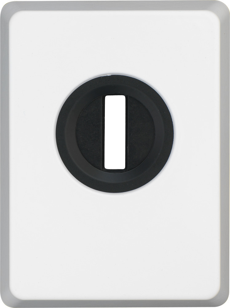 ABUS Panzerplatte PZS4060, Stahl