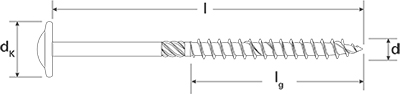 FISCHER PowerFast 6,0x60 TK TX TG A2 200