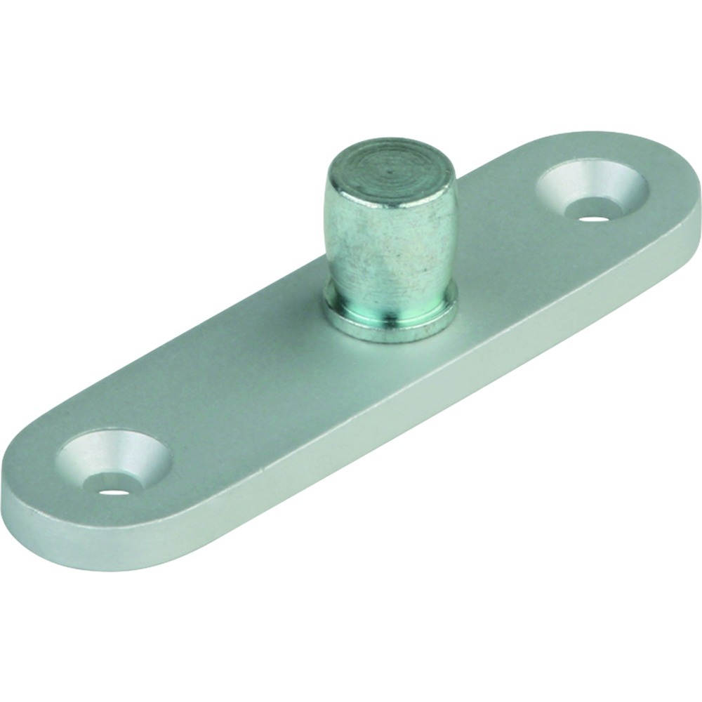 DORMA GLAS Zapfenband Oberteil PT 24 01.116, Aluminium