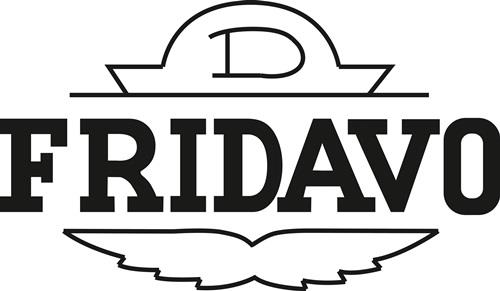FRIDAVO Spiralfedertürband Modell M STA blk Gr.9 L.150mm eins.wirkend FRIDAVO FRIDAVO Spiralfedertürband Modell M STA blk Gr.9 L.150mm eins.wirkend FRIDAVO