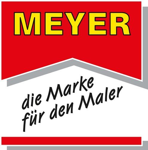 MEYER Waschbenzin 1l Flasche MEYER