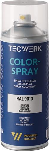 Colorspray Spraydose TECWERK