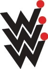 Werner Wilke Gravierstichel Pro D D.3mm VHM Gesamt-L.40mm WERNER WILKE