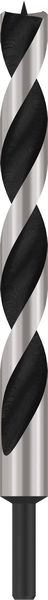 BOSCH Maschinenholzbohrer, M-Spitze 20 x 250 mm, d 10 mm