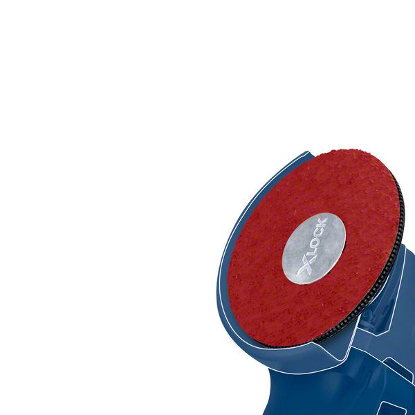 BOSCH EXPERT N477 SCM Scheibe für Winkelschleifer, 125 x 22 mm, grob, 25-tlg.. Für kleine Winkelschleifer