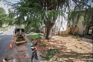 MILWAUKEE M18 FUEL™ Akku-Teleskop-Astsäge 30 cm M18FTPS30-121