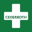CEDERROTH Pflasterspender Plus B306xH155xT155ca.mm grün,transparent CEDERROTH