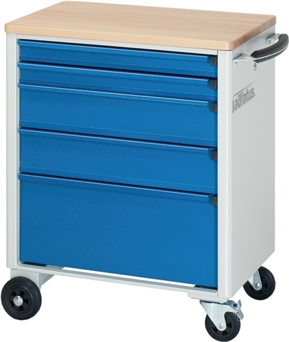 RAU Werkstattwagen Buchenplatte H860xB700xT520mm grau/blau 2x65,2x130,1x260mm