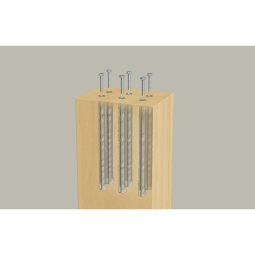 FISCHER Innengewindeanker FIS IG20 R